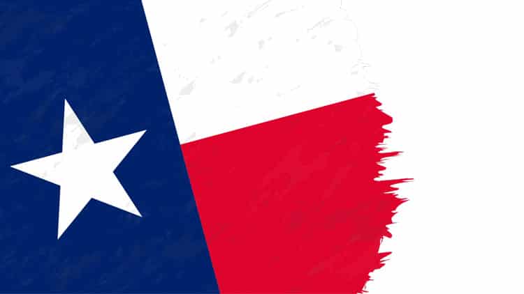 Texas Flag